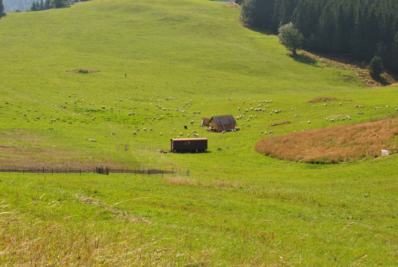 pepajs.cz